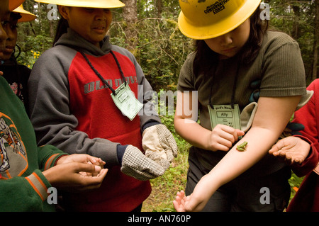 100 4. und 5. Klässler von John Muir Elementary School verbringen Sie 4 Tage im Freien und ökologische Aktivitäten. Stockfoto