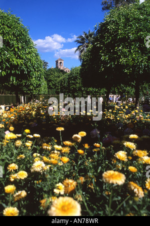 Gärten des Alcázar de Los Reyes Cristianos Cordoba Andalusien Spanien Stockfoto