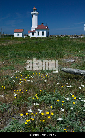 Punkt-Wilson lighthhouse Stockfoto