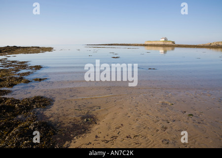 Historischen 12. Jahrhundert Llangwyfan Kirche auf kleine Gezeiten-Insel über Wasser bei Porth Cwyfan Aberffraw Anglesey North Wales UK Stockfoto