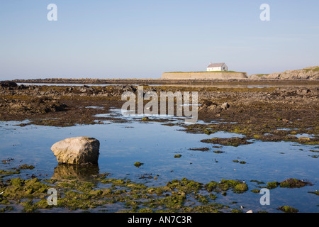 Historischen 12. Jahrhundert Llangwyfan Kirche auf kleine Gezeiten-Insel über Wasser bei Porth Cwyfan Aberffraw Anglesey North Wales UK Stockfoto