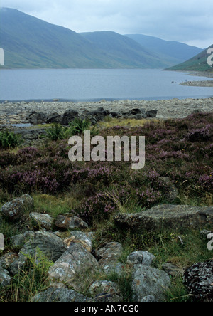 Loch-Turm in Perthshire in Schottland, Vereinigtes Königreich Stockfoto