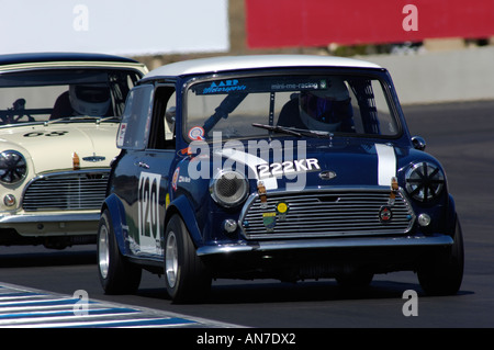 Zwei Austin Mini Coopers Rennen bei den 2006 Rolex Monterey Historic Automobil Rennen Stockfoto