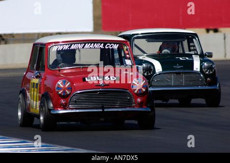 Zwei Austin Mini Coopers Rennen bei den 2006 Monterey Historic Automobil Rennen Stockfoto