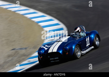 Harley Cluxten treibt seine 1965 Ford Cobra 427 bei den 2006 Monterey Historic Automobil Rennen Stockfoto