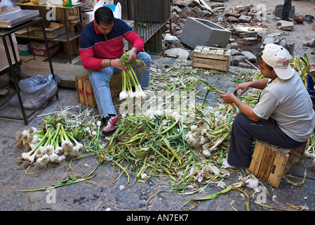 Zwei Männer Arbeit ihren Weg durch einen großen Berg von frischem Knoblauch binden sie Trauben Fisch-Markt-Catania-Sizilien-Italien Stockfoto