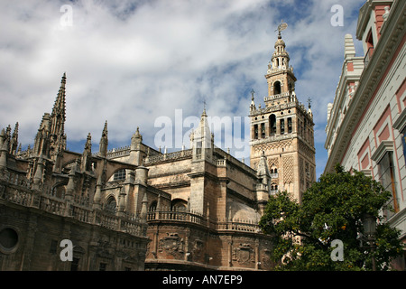 Giralda Turm, umgeben von der Kathedrale und Rathaus war ursprünglich eine Minarett in einem Glockenturm umgebaut Stockfoto