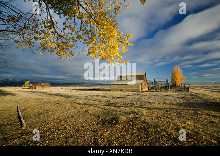 Goldene frühen Morgenlicht an einer alten Scheune von Moulton Mormone weiterfahren in Grand Teton Nationalpark Stockfoto