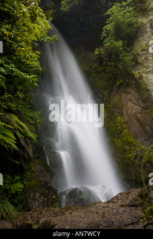 Wairere fällt in der Nähe von Rotorua, Neuseeland Stockfoto