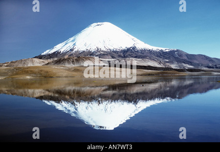 Vulkan Parinacota, mit Überlegung Spiegel in Lago Chungara, Chile, Altiplano Stockfoto