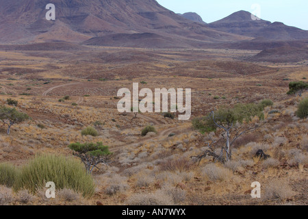 Wüste Landschaft und Brandberg Mountains im Damaraland Namibia November Stockfoto