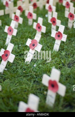 Reihen von Holzkreuze mit Mohnblumen angeordnet auf dem Rasen vor der Westminster Abbey, London, UK. Stockfoto