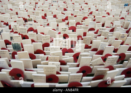 Reihen von Holzkreuze mit Mohnblumen angeordnet auf dem Rasen vor der Westminster Abbey, London, UK. Stockfoto