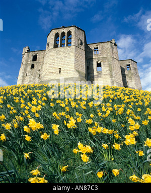 Warkworth Castle, Northumberland, England. Stockfoto