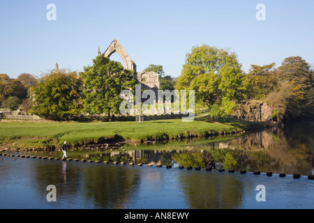 Flusses Wharfe und Bolton Abbey Augustiner Kloster-Ruinen mit Mann auf Trittsteine in Yorkshire Dales National Park. North Yorkshire England UK Stockfoto