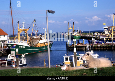 Texel Niederlande Holland Oudeschild Hafen Hafen Stockfoto