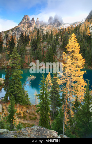 Berg-Lärchen am blauen See Stockfoto