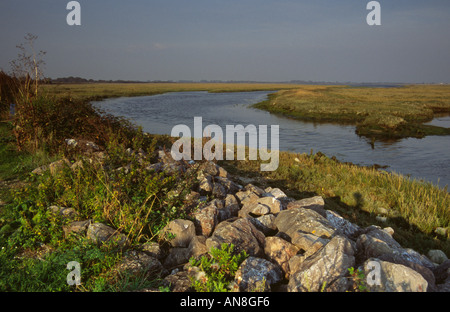 Bei Ebbe Pagham Habour Sussex UK Stockfoto