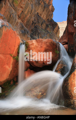 Kleiner Wasserfall am Clear Creek ein Nebenstrom auf dem Colorado River im Inneren des Grand Canyon Stockfoto