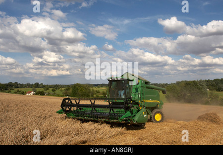 John Deere verbinden in Norfolk Weizenfeld Stockfoto