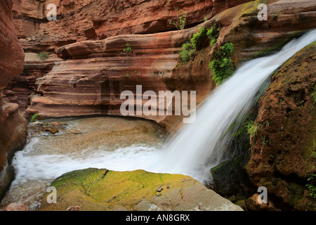 Slotcanyon in Deer Creek Terrasse Deer Creek ist ein Nebenstrom auf dem Colorado River im Inneren des Grand Canyon Stockfoto