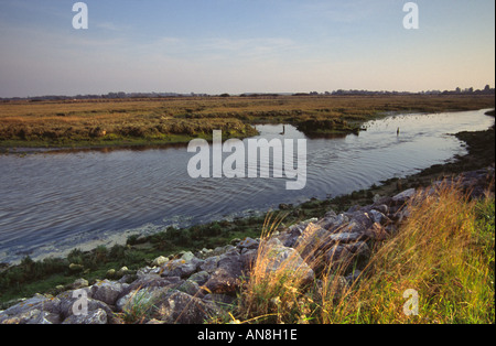 Bei Ebbe Pagham Habour Sussex UK Stockfoto