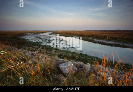 Bei Ebbe Pagham Habour Sussex UK Stockfoto