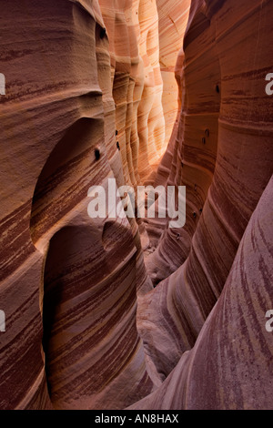 Slot Canyon escalante Stockfoto