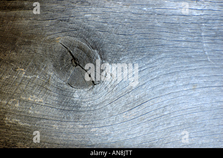 Textur und Muster in verwittertem verknoteten Holz geeignet für Hintergründe Stockfoto
