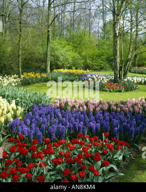 NL - Süd Holland: Keukenhof Gärten Stockfoto