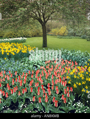 NL - Süd Holland: Keukenhof Gärten Stockfoto