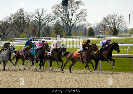 Vollblüter Pferderennen im Frühjahr treffen sich zum Keeneland Track in Lexington, Kentucky USA Stockfoto