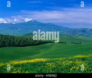 Frühling in der Toskana, Italien Stockfoto