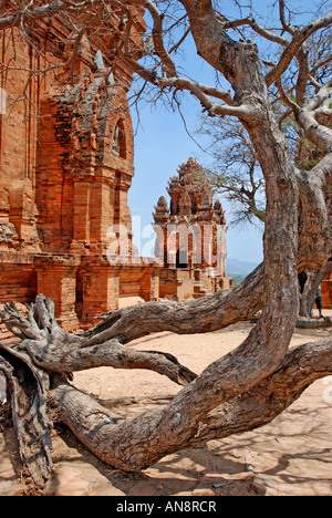 Vietnam Vietnam Po Klong Garai Champa Girai Cham Türme Kalan Garai Champa Ninh Thuan Provinz Stockfoto