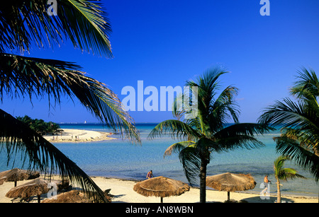 Strand Playa Norte Norden Isla Mujeres Mexiko Stockfoto