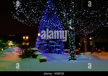 Leichte Weihnachtsschmuck auf verschneiten Bäumen in der Nacht in Woodbridge Ontario nach einem Schneesturm Stockfoto