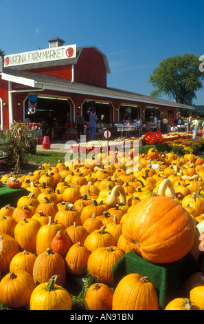 Virginia Farm Markt, Winchester, Shenandoah Valley, Virginia, USA Stockfoto