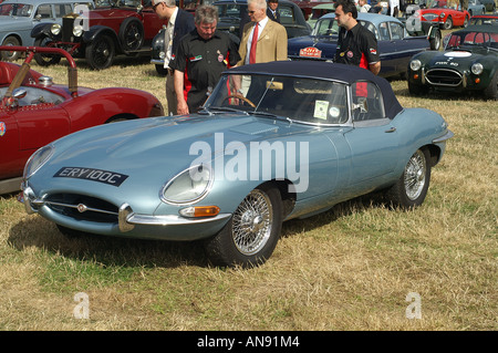 E Typ Jaguar Stockfoto