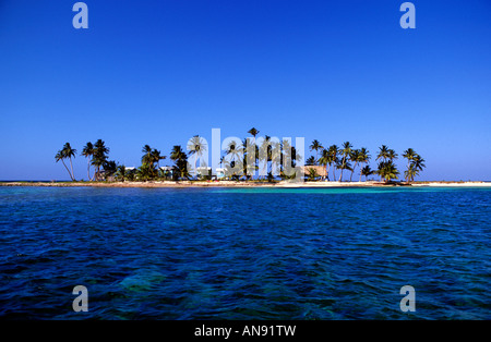 Ranguana Caye, Belize Stockfoto