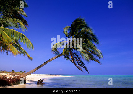 Paar am Strand Ranguana Caye, Belize Stockfoto