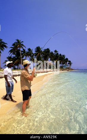 Knochen Angeln Ranguana Caye, Belize Stockfoto