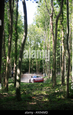 Goodwood FOS 2006 Rennsport Auto klassische Legende historische Car Festival Geschwindigkeit Porsche 911 Carrera 1977 3 Liter Rennfahrer Davi Stockfoto