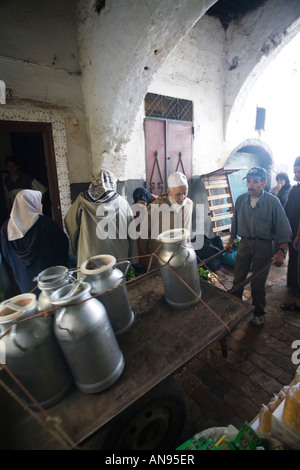 Milchanlieferung im Souk, Tetouan, Marokko Stockfoto