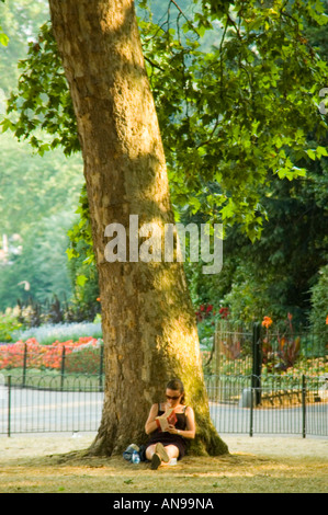 Vertikale Porträt einer attraktiven jungen Frau, die ihr Buch unter dem Schatten eines Baumes in der Sonne. Stockfoto