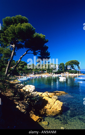 Antibes Cap d ' Antibes Alpes-Maritimes 06 Französisch Riviera Côte d ' Azur PACA Frankreich Europa Stockfoto