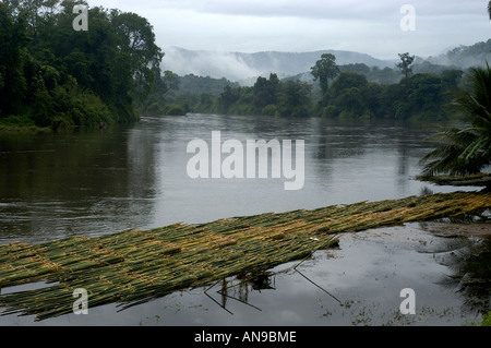 PERIYAR FLUß IN MONSUN, THATTEKAD VOGELSCHUTZGEBIET, ERNAKULAM DIST Stockfoto