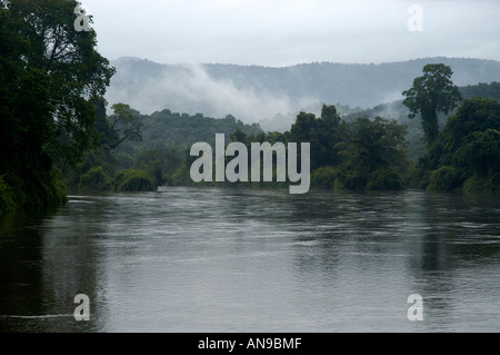 PERIYAR FLUß IN MONSUN, THATTEKAD VOGELSCHUTZGEBIET, ERNAKULAM DIST Stockfoto