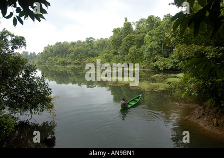 PERIYAR FLUß IN MONSUN, THATTEKAD VOGELSCHUTZGEBIET, ERNAKULAM DIST Stockfoto