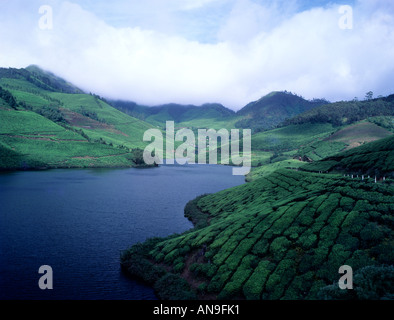 EINE ANSICHT DER WESTLICHEN GHATS IN MATUPETTY IN DER NÄHE VON MUNNAR Stockfoto