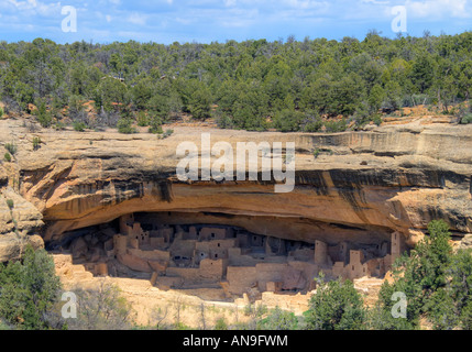 Cliff Palace - Mesa Verde National Park in Colorado, USA Stockfoto